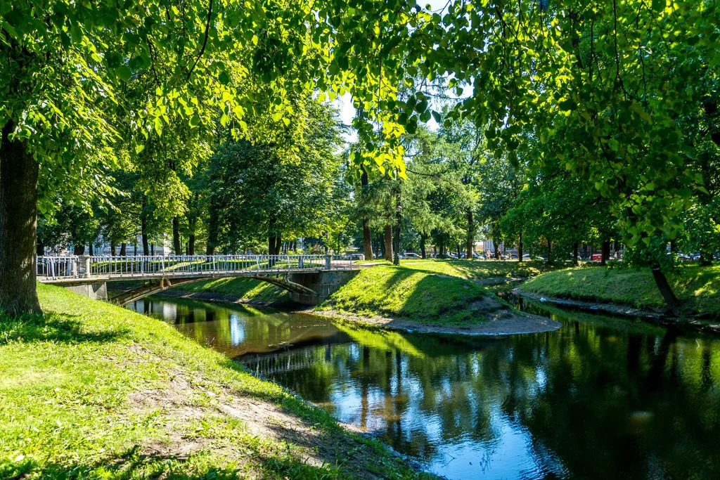 Продажа квартиры, м. Чернышевская, ул. Парадная - Фото 8