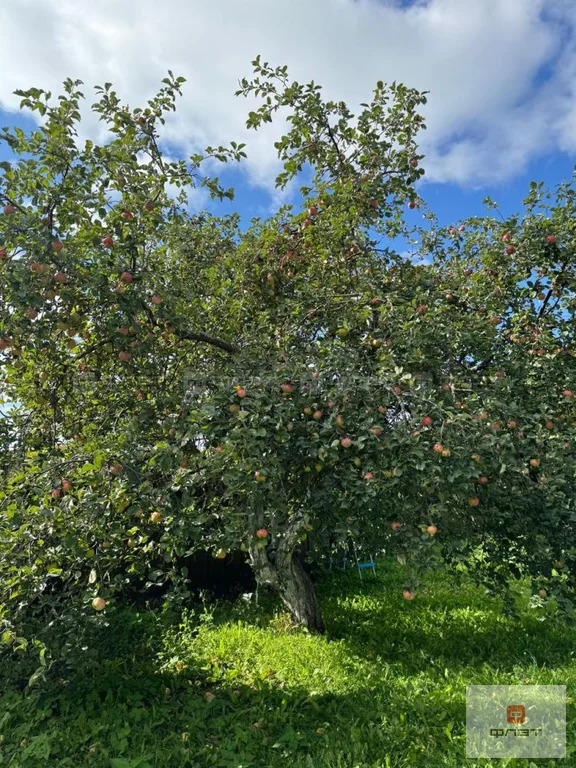 Продажа дома, Им Мулланура Вахитова, Верхнеуслонский район, ул. Новая - Фото 36