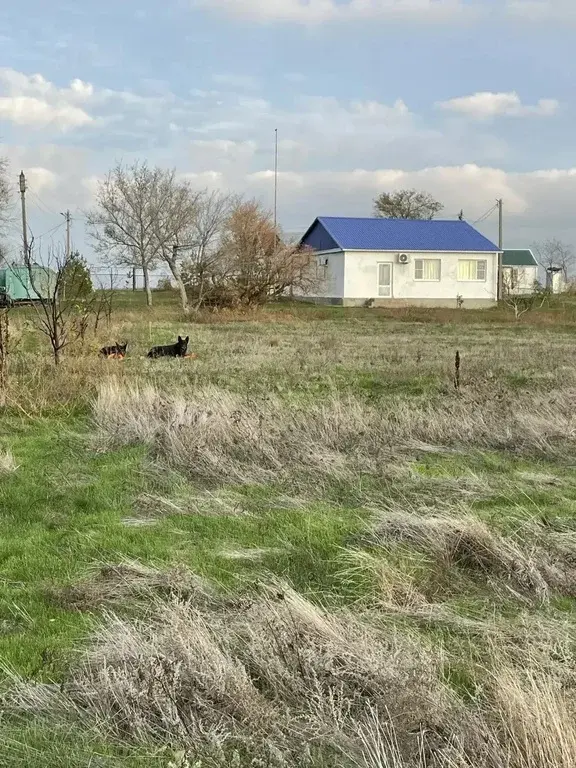 База отдыха на берегу реки Маныч — ваш личный выход к воде! - Фото 5