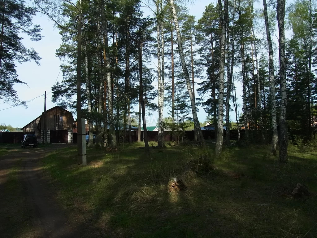 Судогодский район, деревня Торжково, земля на продажу - Фото 3
