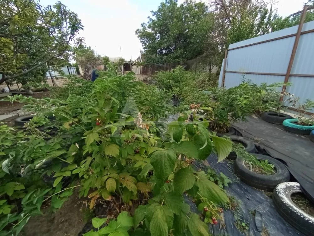 Продажа дома, Георгиевск, ул. Красноармейская - Фото 10