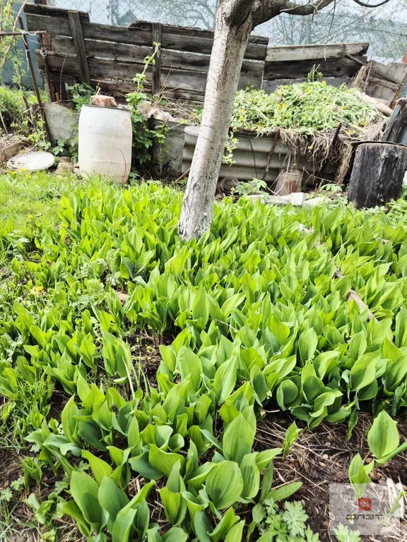 Продажа дома, Казань, тер. СДТ Смородинка - Фото 17