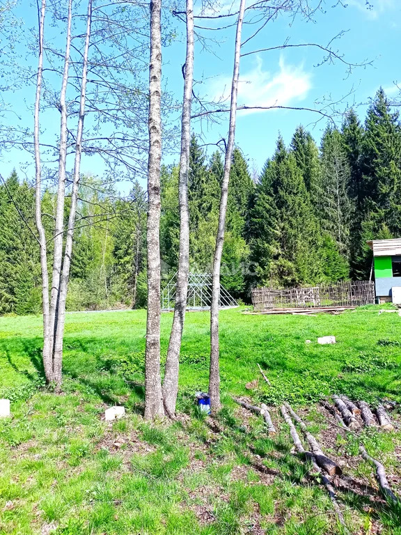 Земельный участок на продажу, Малоярославецкий район, деревня Ожогино - Фото 5