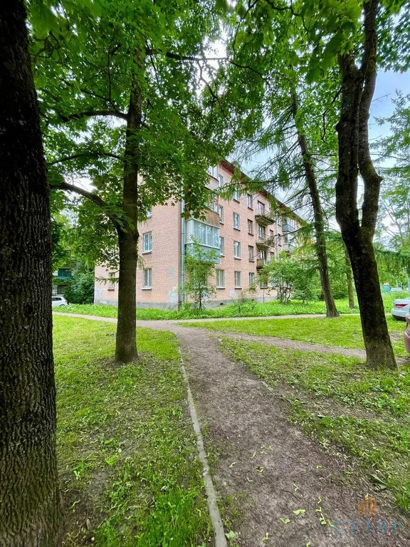 Продажа квартиры, Красное Село, ул. Гвардейская - Фото 23