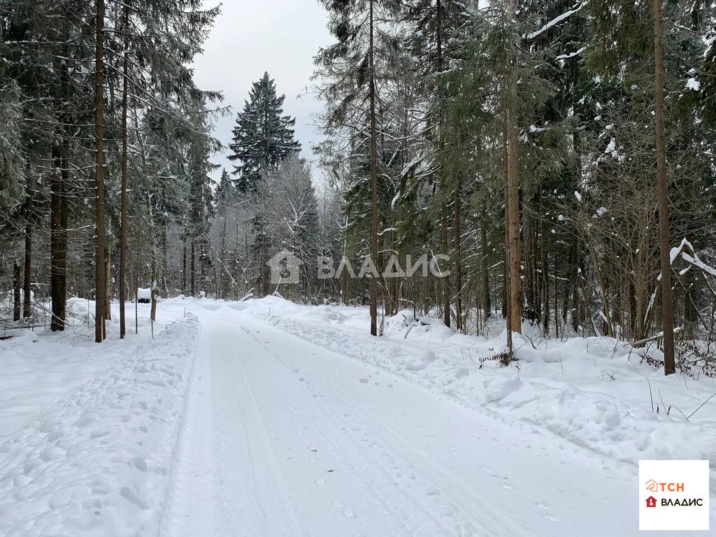 Продажа участка, Сазонки, Дмитровский район - Фото 4