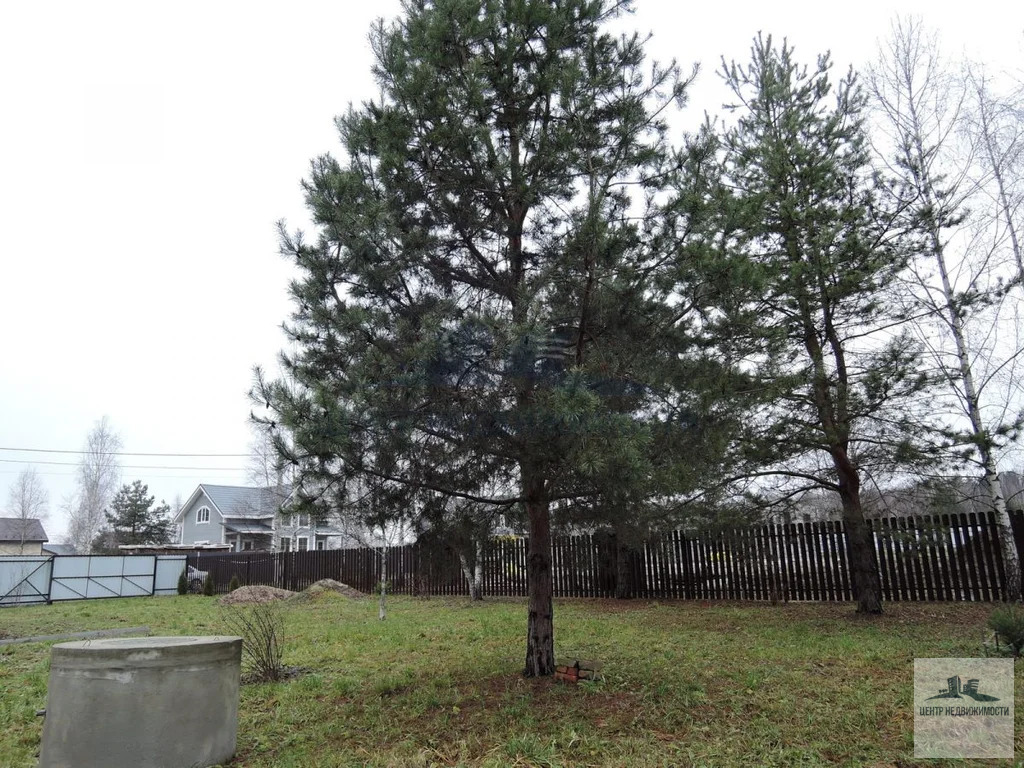 ПРОДАЕТСЯ УЧАСТОК 13.59 СОТОК С ДОМИКОМ У ЛЕСА - Фото 8