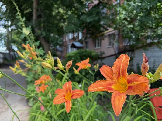 Продам двухкомнатную (2-комн.) квартиру, Нартова ул, 21, Нижний Нов... - Фото 27
