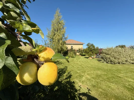 Продам дом, Физкультурная ул, 93, Бурцево д, 30 км от города - Фото 3