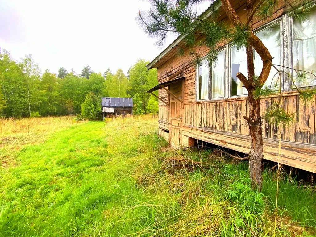 Дом в деревне Пруды - Фото 5