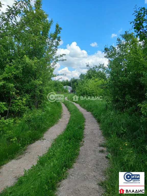 Продажа участка, Ендовище, Семилукский район, ул. Красный Кут - Фото 5