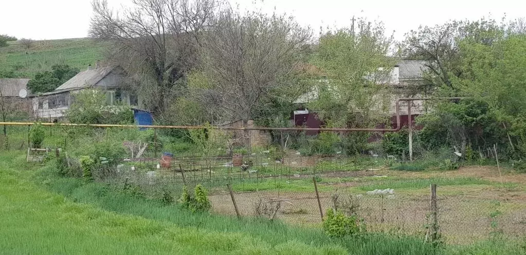 Большой лог фото. Хутор большой Лог ул зеленая.