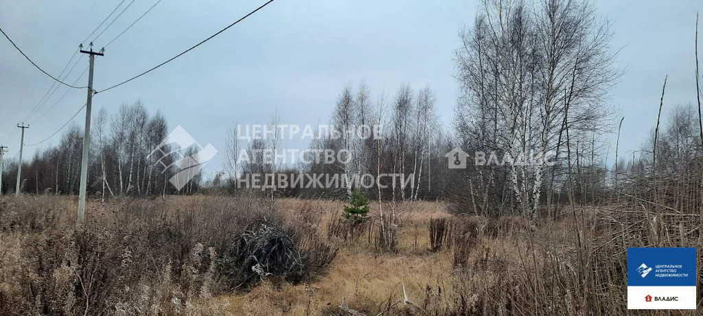 Продажа участка, Рязанский район - Фото 8