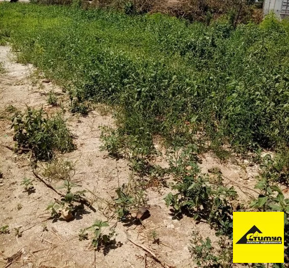 Продажа участка, Ейск, Ейский район, 2 - Фото 3