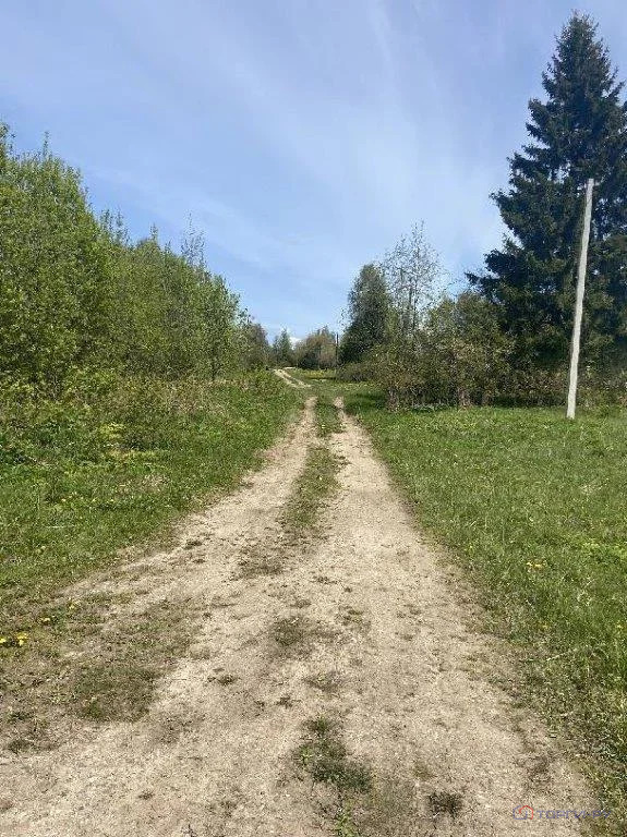 Продажа участка, Большое Пальцино, Переславский район - Фото 3