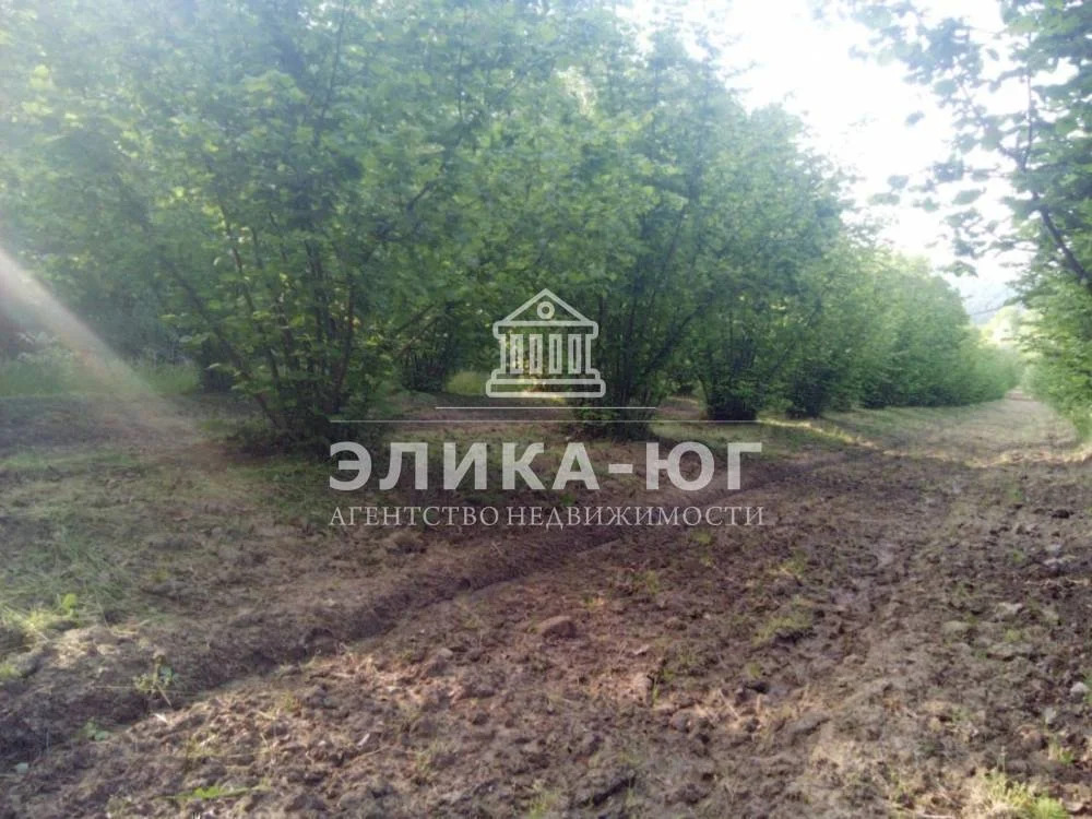 Продажа участка, Дефановка, Туапсинский район - Фото 5