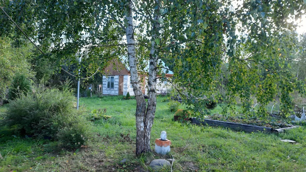 Юрьев-Польский район, село Радованье,  дом на продажу - Фото 3