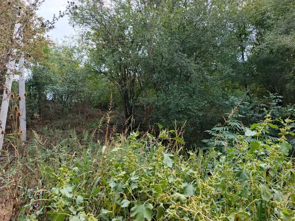 Продажа участка, Новодмитриевская, Северский район, ул. Орджоникидзе - Фото 4