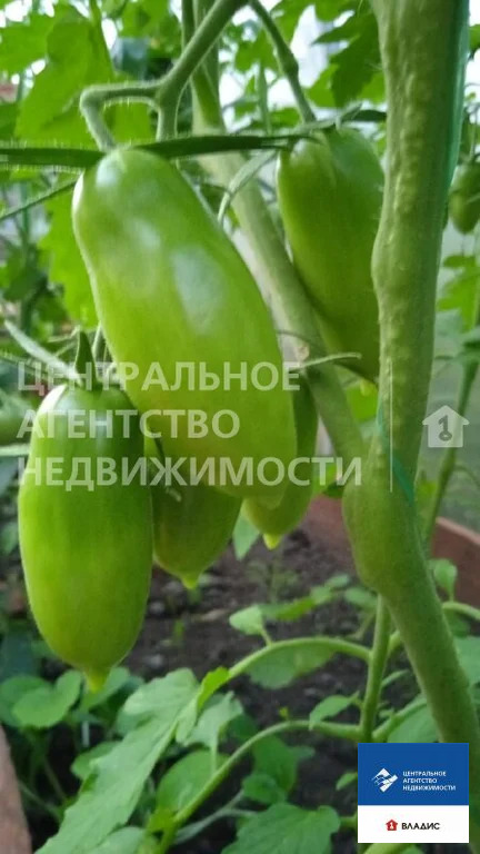 Продажа дома, Сапожок, Сапожковский район, ул. Пушкарская - Фото 7