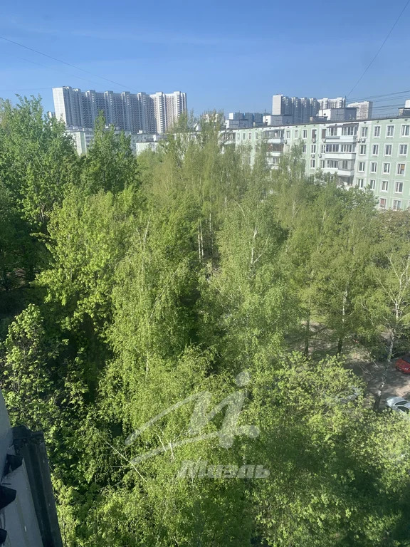 Продажа квартиры, м. Ясенево, Соловьиный проезд - Фото 29