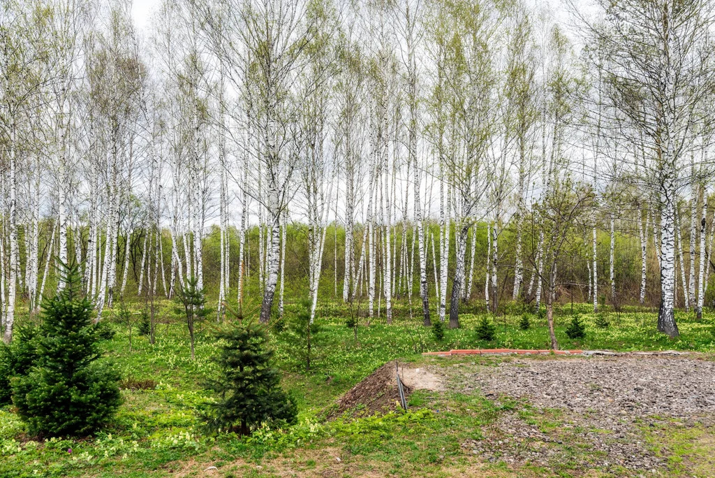 Продажа дома, Кульчаны, Новокузнецкий район, ул. Кондомская - Фото 1