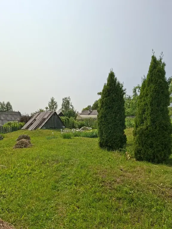 Продается дом на уч. в дерене Щелканово - Фото 6