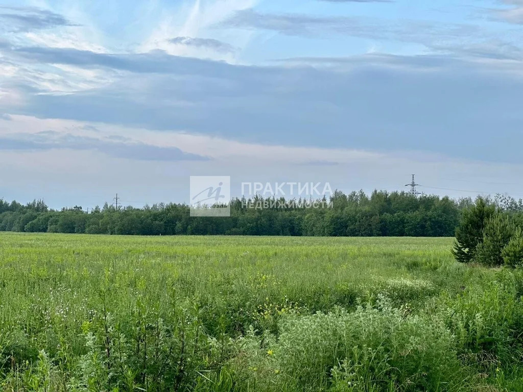 Продажа дома, Шульгино, Богородский г. о., ул. Крестьянская - Фото 25