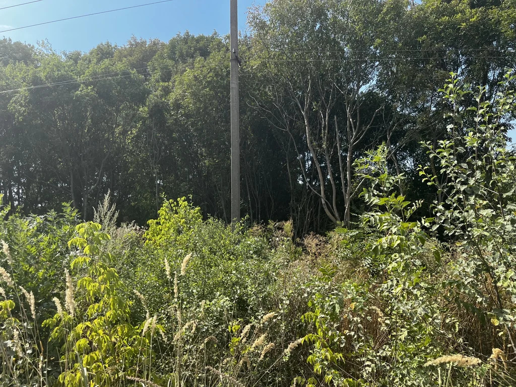 Продажа участка, Бончковский, Северский район, ул. Центральная - Фото 5