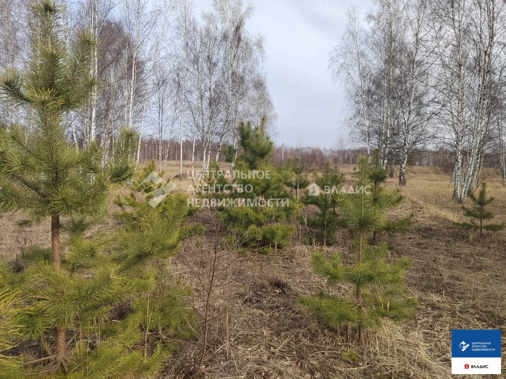 Продажа участка, Рязанский район - Фото 7