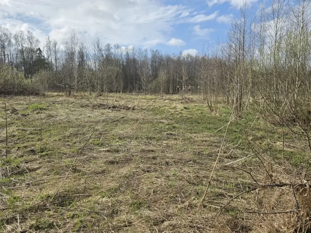 Продаю участок 10 соток в пос. Гарь-Покровское - Фото 4