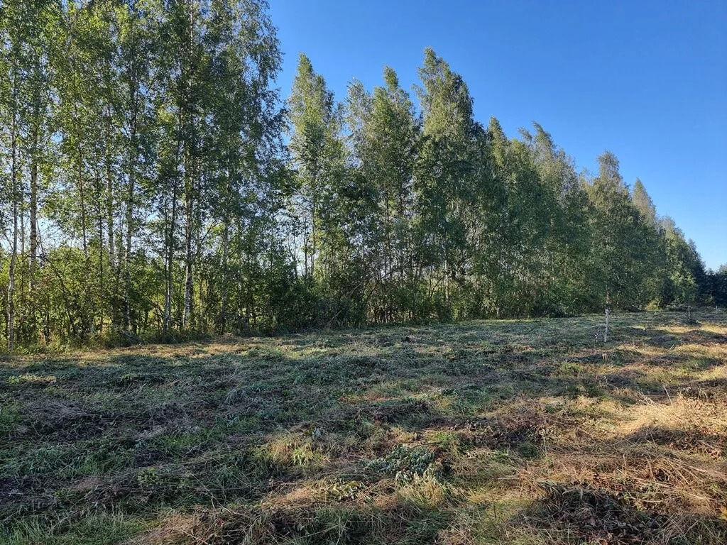 Продажа участка, Большие Пороги, Всеволожский район - Фото 11