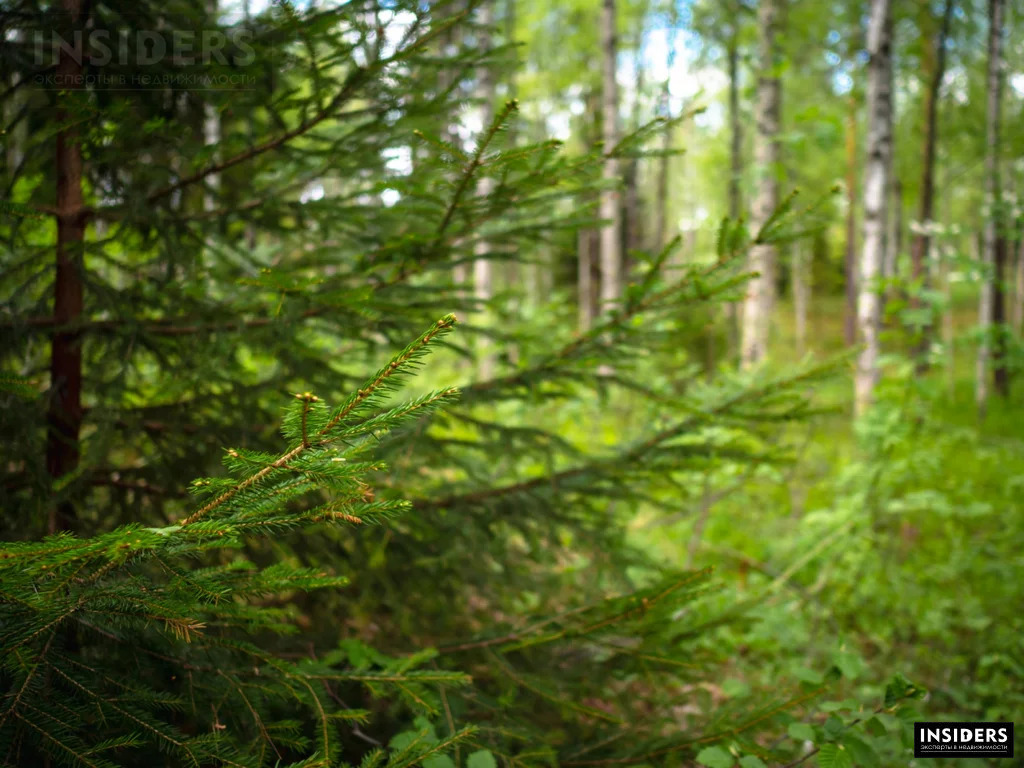 Продажа участка, Ленинское, Выборгский район - Фото 7