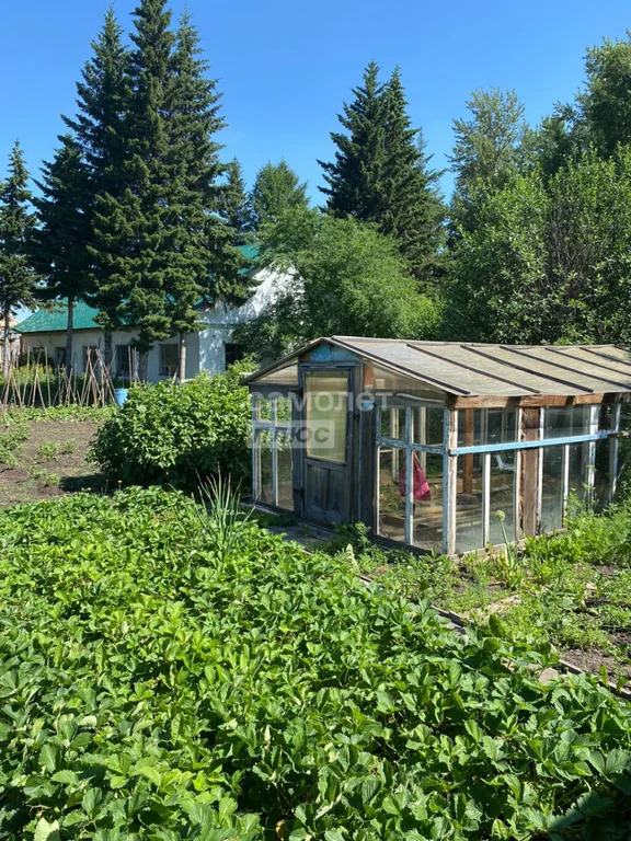 Продажа дома, Черепаново, Черепановский район, Лесной пер. - Фото 20