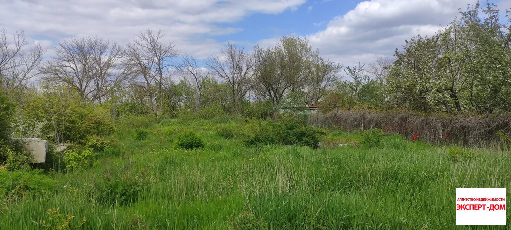 Продажа участка, Мержаново, Неклиновский район, Голубые ели сад - Фото 15