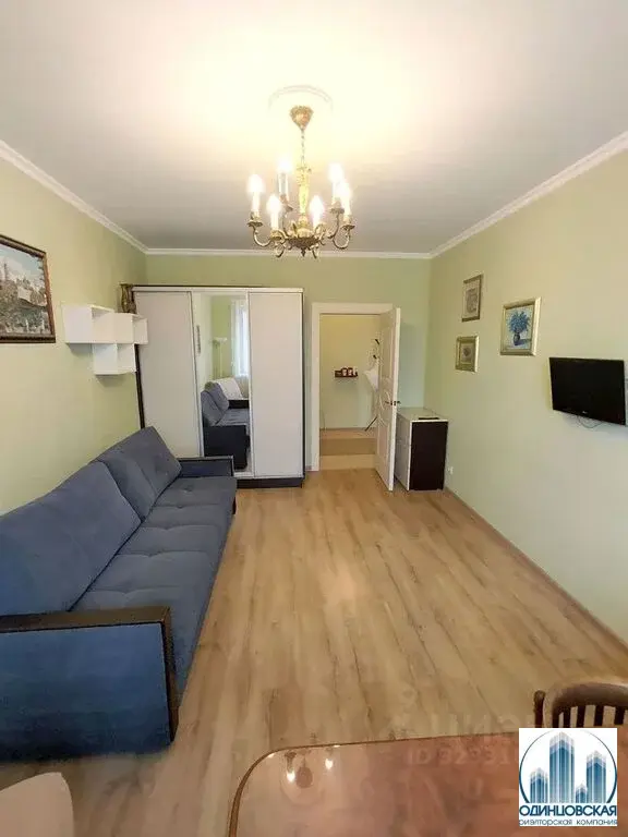 Снять однокомнатную квартиру Одинцово ул. Триумфальная - Фото 2