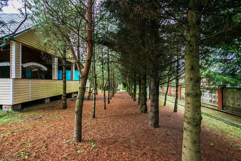 Продажа дома, Сергиево, Одинцовский район - Фото 8