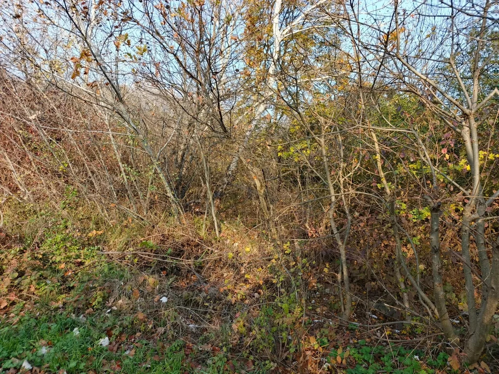 Продажа участка, Северский район - Фото 3