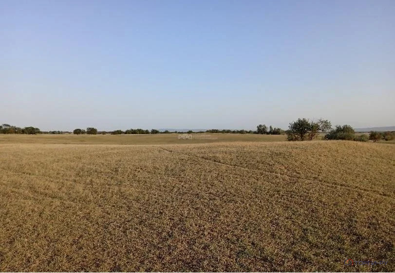 Продажа участка, Николаевская, Наурский район - Фото 1