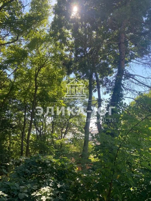 Продажа участка, Джубга, Туапсинский район, ул. Борохова - Фото 7