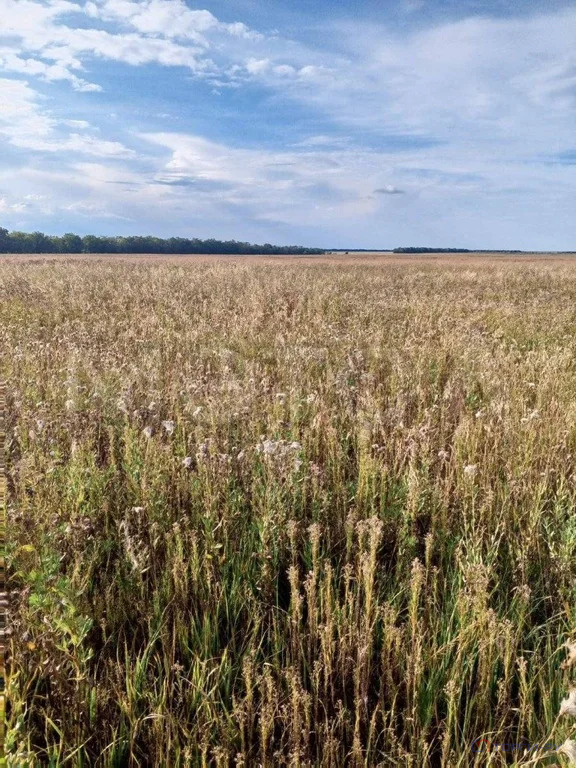 Продажа участка, Комсомольский, Брединский район - Фото 1