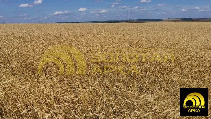 Продажа участка, Сенной, Темрюкский район - Фото 0