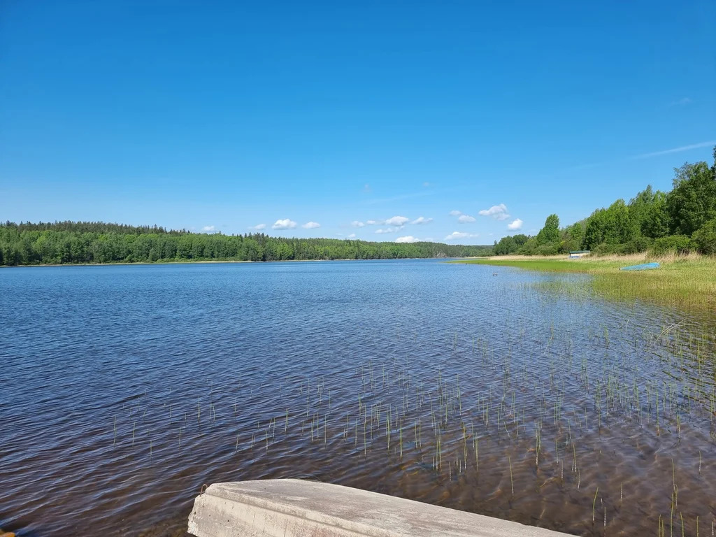 Продажа участка, Каменногорск, Выборгский район, ул. Никольская - Фото 17