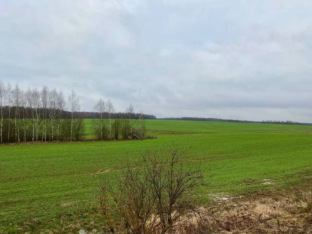 Дом 41 м2 на участке 12 сот. - Фото 23