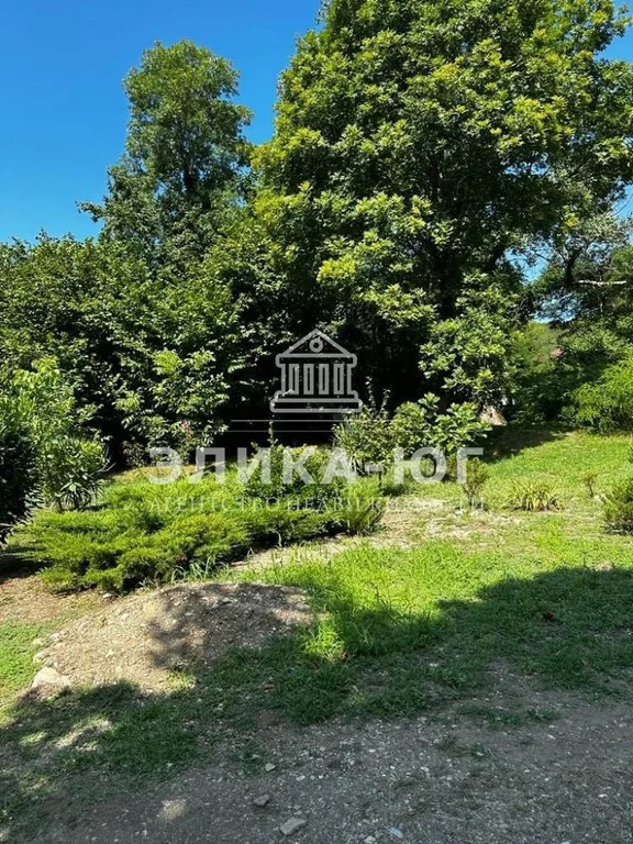 Продажа дома, Бжид, Туапсинский район, Ореховая ул. - Фото 18