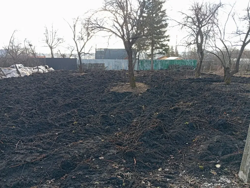 Участок 7,3 сот. (СНТ, ДНП) - Фото 4