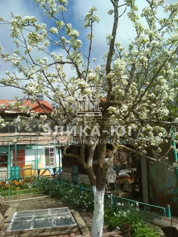Продажа дома, Джубга, Туапсинский район, ул. Совхозная - Фото 4