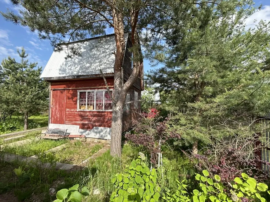 Дом 42,3 м2 на участке 6,2 сот. - Фото 5