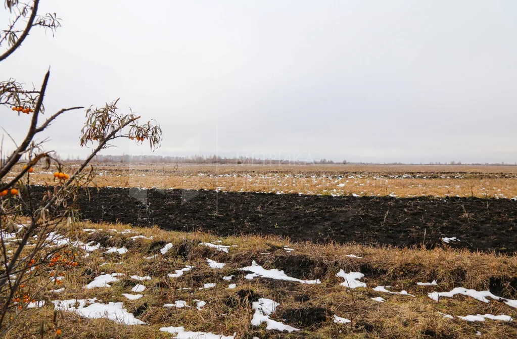 Продажа земельного участка, Тюменский район, Тюменский р-н - Фото 0