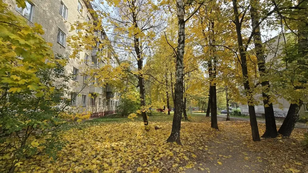 Продажа двухкомнатной квартиры 45.0м Юбилейная ул., 19, Истра, ... - Фото 6