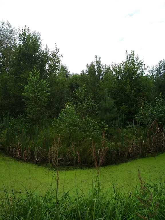 Продажа участка, Владычино, Волоколамский район - Фото 1