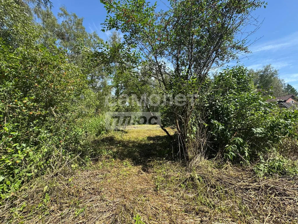 Продажа участка, Дмитров, Дмитровский район - Фото 9